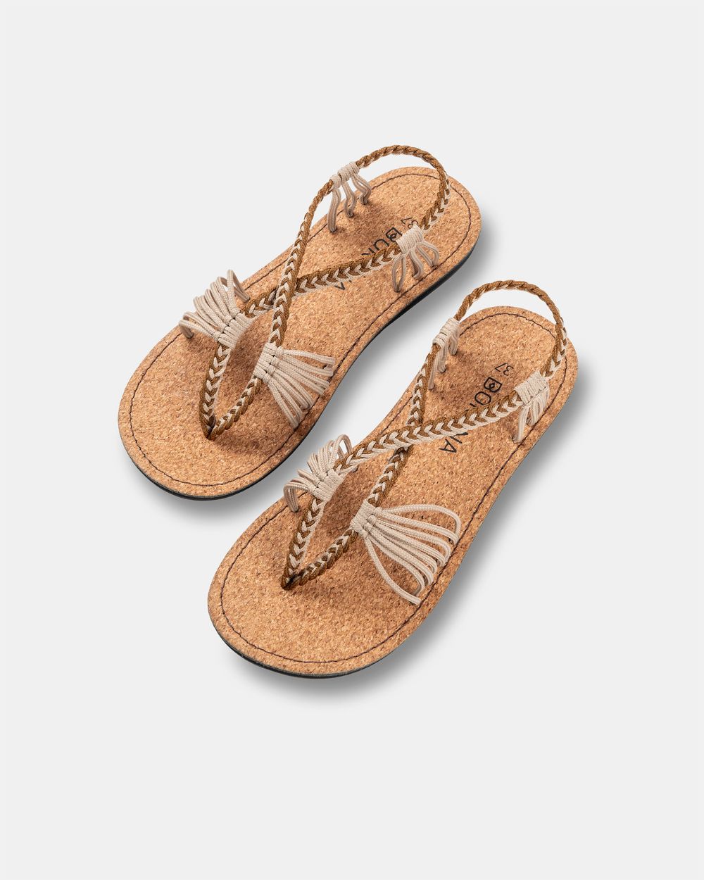 SEASTAR WIDE – Coffee