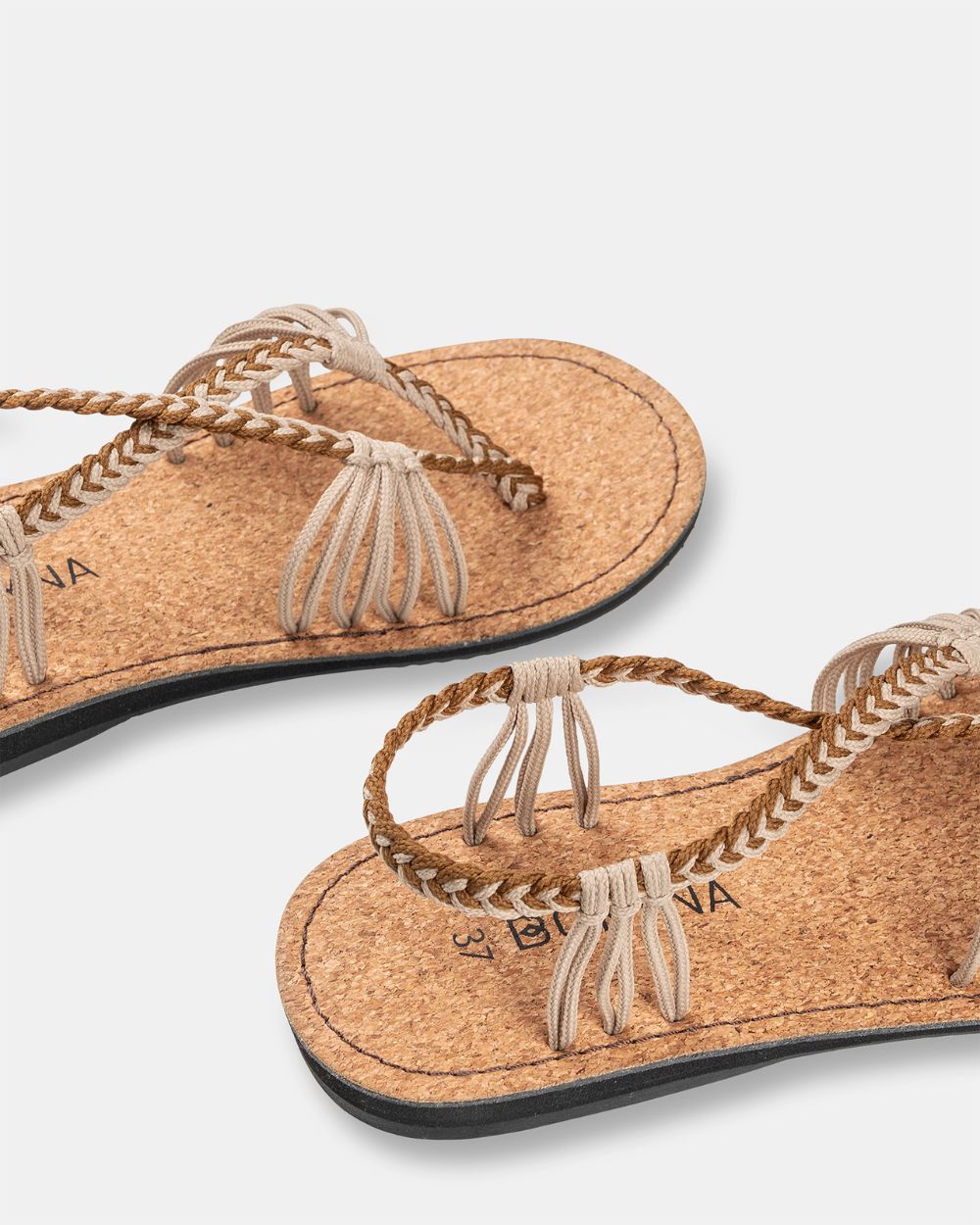 SEASTAR WIDE – Coffee