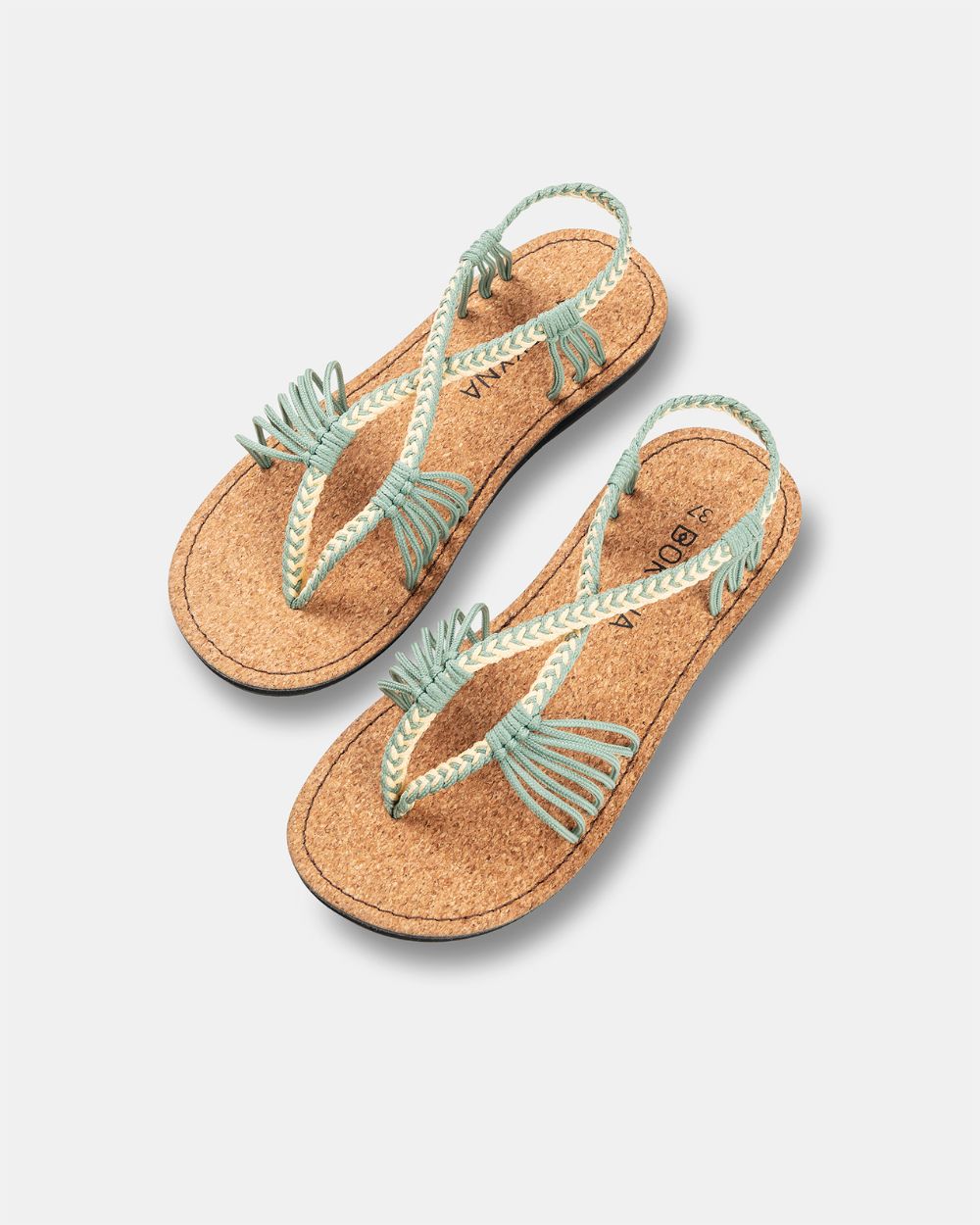 SEASTAR WIDE – Pistachio